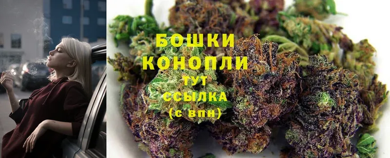 закладка  Стародуб  Марихуана White Widow 